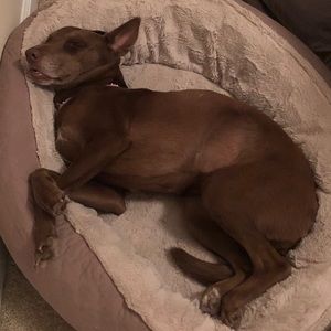 Meet your Posher, Bonnie